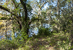 View from Shore